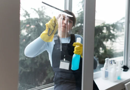 Nettoyage de vitres intérieures et extérieures à Saulnes